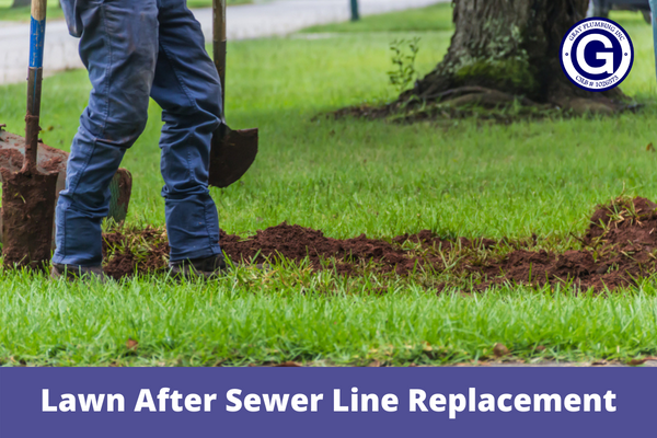 Lawn After Sewer Line Replacement