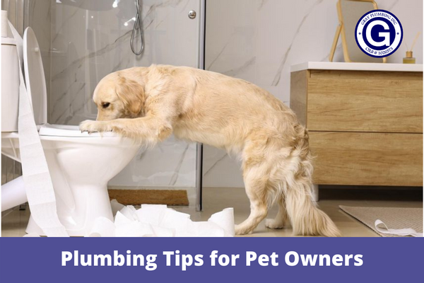 Plumbing Tips for Pet Owners